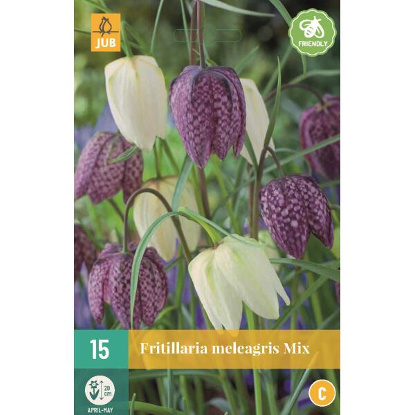  - Fritillaria meleagris mix