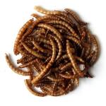 Gedroogde meelwormen - 5,5 liter