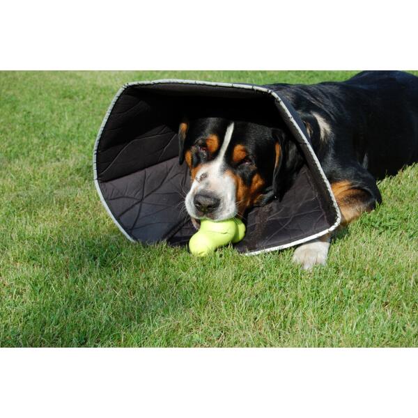 Hondenkap Comfy Cone - M / XL