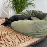 Kattenmand Fluco groen - Designed by Lotte