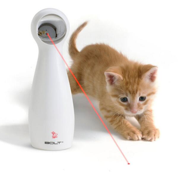  - Kattenspel met laserlicht