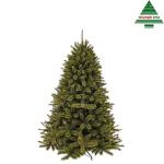 Kerstboom Forest Frosted 185 cm groen - triumph tree