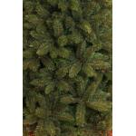 Triumph Tree kerstboom kunststof Forest Frosted groen - 215 cm