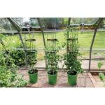Klimplantentoren 150 cm met bewateringssysteem - groen