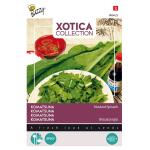 Komatsuna (Exoot) - Brassica campestris