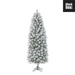 Kunststof kerstboom Chandler slim frosted Black Box - 215 cm
