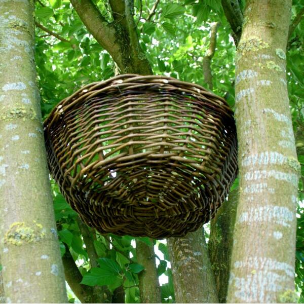 Nest voor ransuil en boomvalk