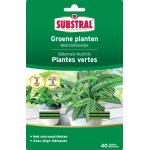Substral meststofstaafjes voor groene planten (40 stuks)