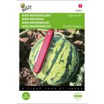 Mini-Watermeloen Tigrimini F1 - Citrullus lanatus