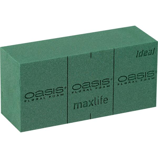 Oasis 'Ideal' - 23 x 11 x 8 cm