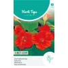 Oost-Indische kers Scarlet Gleam Rood - Tropaeolum majus