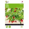 Peper Biquinho - Capsicum chinense