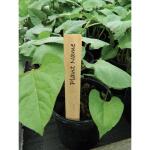 Plantenlabels hout - 15 cm (10 stuks)