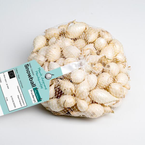  - Pootgoed uien Snowball 500 g