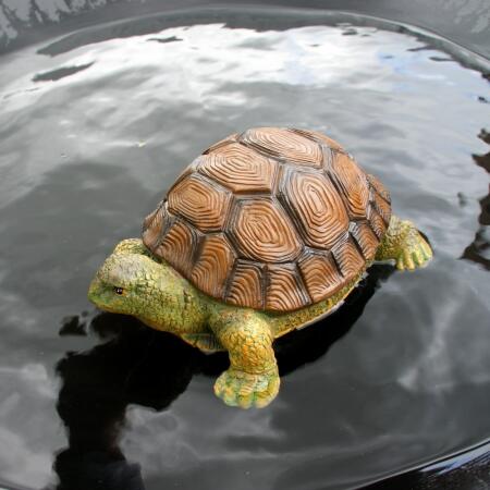 Veel gevaarlijke situaties Reflectie schieten Beeld van een schildpad