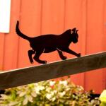Silhouette balancerende kat - decoratief