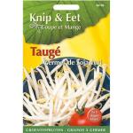 Taugé - sojascheuten - Knip en eet