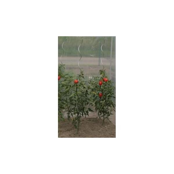  - Tomatenhaken RVS