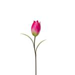 Tuinprikker tulp - roze