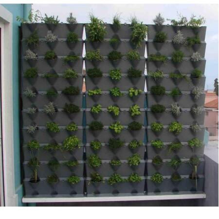 uitstulping oortelefoon patroon Verticale minituin kopen - groenwand installeren | Sierpotten en  plantenbakken | Tuininrichting | Aanleg en inrichting | Tuinadvies