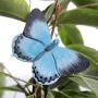 Vlindermagneet boomblauwtje