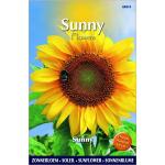 Zonnebloem Sunny - Helianthus annuus (Sunflowers)