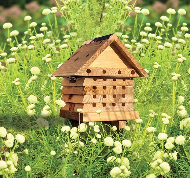 Afbeelding Solitaire bijenkast door Tuinadvies.be