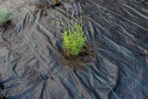 Gronddoeken & vliezen