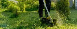Gazon verzorging